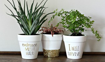 La plante par l&rsquo;humour