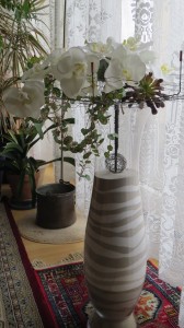 Fausse Orchidée sur un support planté dans un vase avec des strates de sable