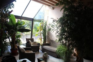 Barbara 21 ans. Mes plantes se sont installées dans la véranda de mes parents en pleine campagne. Il y a un peu de tout: Bananier, cactus, yucca ...