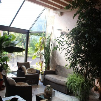 Barbara 21 ans. Mes plantes se sont installées dans la véranda de mes parents en pleine campagne. Il y a un peu de tout: Bananier, cactus, yucca ...