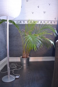 (femme, 23 ans) Plante dans le salon