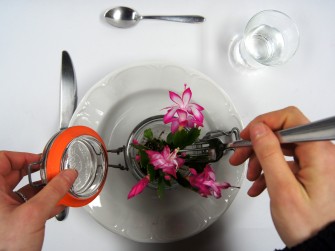 Approche plastique : Mangeons des plantes !