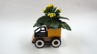 Approche plastique : la plante et le jouet