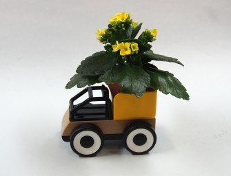 Approche plastique : la plante et le jouet